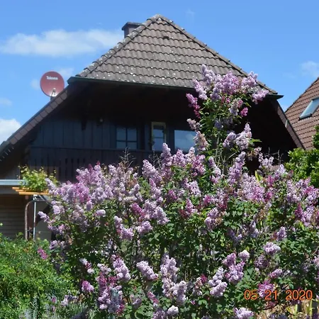 Beim Holzmann * Gutach