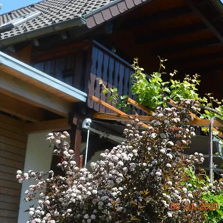 Beim Holzmann Apartamento Gutach