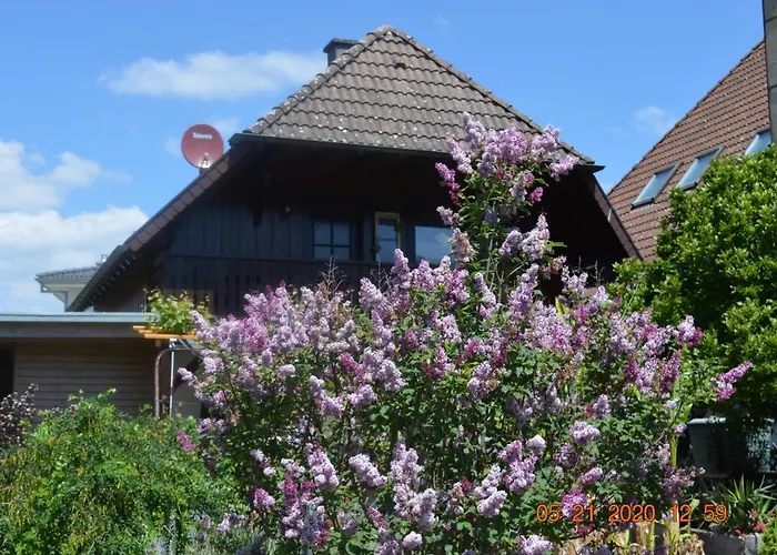 Beim Holzmann * Gutach